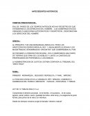 Antcedentes historicos.