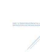 Caso Sector Aseguradora