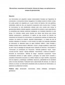 Micronúcleos: mecanismos de formación, factores de riesgo y sus aplicaciones en ensayos de genotoxicidad.