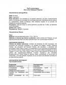 Perfil criminológico Jhon Jairo Velásquez Vásquez