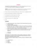 Magnesio elemento