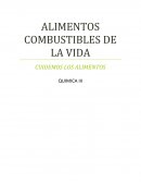 LIMENTOS COMBUSTIBLES DE LA VIDA CUIDEMOS LOS ALIMENTOS