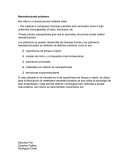 Polimeros nanoestructurados