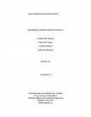 ELECTRIZACION POR INFLUENCIA INFORME DE LABORATORIO DE FISICA III