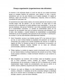 Ensayo organización (organizaciones más eficientes)