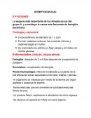 Sterptococcus