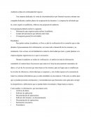 Auditoría al plan de continuidad del negocio.