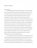 ENSAYO ACERCA DE LA ENSEÑANZA POR COMPETENCIAS DE LAS MATEMÁTICAS