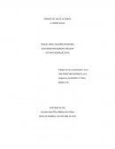 TRABAJO DEL DIA DE LA CIENCIA