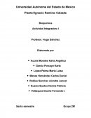 Bioquímica Actividad Integradora I