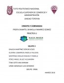 Credito y cobranza NUEVA IMAGEN ES DISEÑO S. A. DE C. V