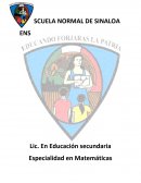 Reporte de secundaria ensayo