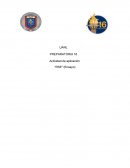 Actividad de aplicación "RSE" (Ensayo)