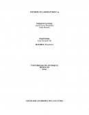 GLICOLISIS ANAEROBIA DE LA GLUCOSA