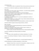 Citoestructura