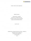 TEORIA Y PRÁCTICA DEL MARKETING