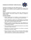 CONSIGNAS DE SUPERVISIÓN Y SOBRE VIGILANCIA.