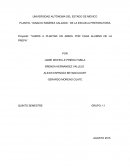 VAMOS A PLANTAR UN ÁRBOL POR CADA ALUMNO DE LA PREPA