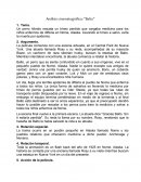 Análisis cinematográfico: “Balto”