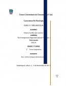 TSU Emergencias Seguridad Laboral Y Rescates