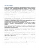 Ciencia urbana