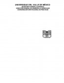 Metrologia: INSPECCIÓN DEL ESTADO DE USO DEL MUTÍMETRO ANALÓGICO SIMPSON.