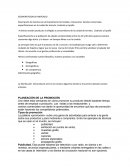 SEGMENTACION DE MERCADO