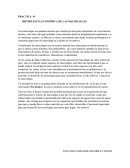 IMPORTANCIA ECONÓMICA DE LAS MACROALGAS