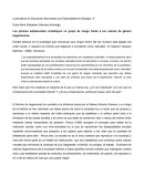 Los jóvenes adolescentes constituyen un grupo de riesgo frente a los valores de género hegemónicos