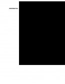 Ejemplo curriculum vitae.