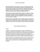 CONCLUSION GENERAL