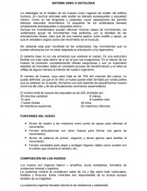 SISTEMA OSEO U OSTOLOGIA. Página 1