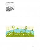 ¿Qué es la sustentabilidad?