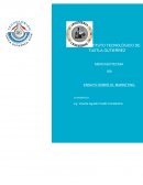 EL MARKETING Antes de entrar a fondo con el tema para una mayor comprensión de este, primero se definirá el argumento en cuestión