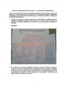 EL PROCESO DE HOMINIZACION