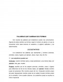 PALABRAS QUE CAMBIAN SUS FORMAS