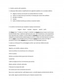 Estudio y practica del vocabulario.