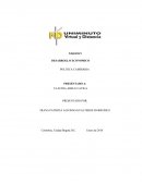 DESARROLLO ECONOMICO. POLITICAS MONETARIAS