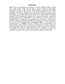 Agronomia. ¿Qué es un Medio de Cultivo?