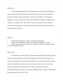 Levantamientos Topográficos.