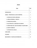 PRINCIPIOS DEL JUICIO DE AMPARO. DEFINITIVIDAD DEL JUICIO DE AMPARO Y EXCEPCIONES