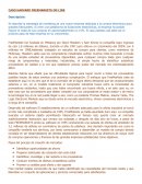 CASO HARVARD FREEMARKETS ON LINE