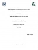 Epistemologia. Concepción De Epistemología