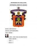 ENFERMERIA SEMIESCOLARIZADA. LA BIOESTADISTICA Y LA ENFERMERIA