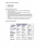 Sistemas energeticos ¿Cuáles son los sistemas energéticos?