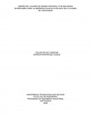 Balance Score Card - trabajo compañia Cartagenera