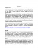 LAB QUIMICA INTRODUCCIÓN