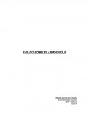 ENSAYO SOBRE EL APRENDIZAJE. EL APRENDIZAJE ES EXPERIENCIA, TODO LO DEMAS ES INFORMACIÓN