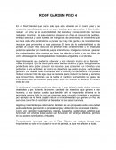 Museo de Economia Roof garden