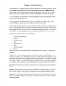 Cables y Componentes